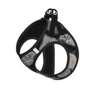 Pebble Stone Pattern Print Step in Dog Harness and Leash Set,Adjustable Reflective Harness for Small Dogs Cats