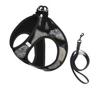 Pebble Stone Pattern Print Step in Dog Harness and Leash Set,Adjustable Reflective Harness for Small Dogs Cats