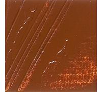 Pebeo Studio XL Fine Artist Oil Paint 200ml - 52 Colours Available