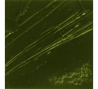 Pebeo XL Oil, Green Earth, 200 ml