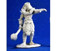Pechetruite 1 x AVATAR of SOKAR - Reaper Bones miniature role playing and war game - 77338