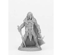 Pechetruite 1 x DARK ELF MALE WARRIOR - Reaper Bones miniature role playing and war game - 44072