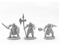Pechetruite 3 x KNIGHTS of the REALM - Reaper Bones miniature role playing and war game - 77673