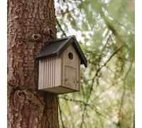 Peckish Blue Tit Natural Wood Nest Box