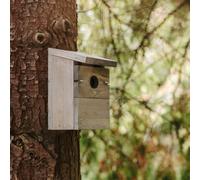 Peckish Everyday Bird Nest Box - One Size