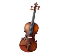 PECY Acoustic Violin 4/4 Full Size Violin Fiddle W/Bow Case Bridge Jujube Wood Acessories Violin Instrument