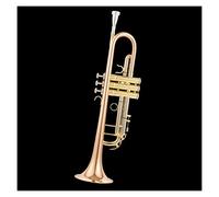 PECY B flat trumpet instrument silver-plated trumpet beginner trumpet Trumpets (Color : 3)