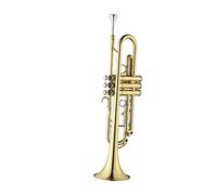 PECY B-flat Trumpet Instrument Student Beginner Professional Children Adult School Brass Instrument Trumpets (Color : Professional)
