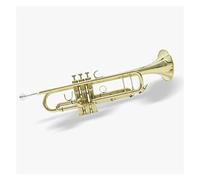 PECY B-flat Trumpet Instrument Three-tone Trumpet Golden Beginner Playing Student Adult Band Trumpets (Color : Gold)
