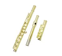 PECY Golden Flute Leather Box Set 16 Closed Opening C Flute Instrument Horizontal Use E Key Box Cleaning Set Flutes
