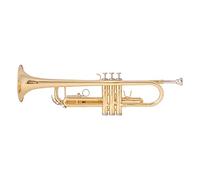 PECY Professional Trumpet B Brass Gold-plated Trumpet Trumpet For Beginners To Play Exam Band Instruments Trumpets