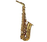 PECY Saxophone Medium Grade Gold Lacquer Alto Saxophone