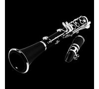 PECY The Clarinet Synthetic Woodwind Is Recommended For Beginners Clarinet Woodwind Instrument