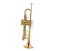 PECY Trumpet B-flat Three-tone Trumpet Phosphor Bronze Beginner Performance Professional Band Teaching Trumpets (Color : 1)