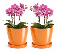 PECZEKO Flower Pot with Gloss, Plastic Flower Pot, Decorative Pot for Large and Small Plants, Set of 2 Pots with Coasters, Flower Pot for Herbs, Orange, ø 20 cm