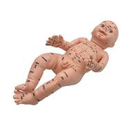 Pediatric massage model Acupoint Massage HD Lettering Chinese Medicine Acupoint Pressure Meridiani Massage Model PVC
