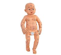 Pediatric Massage Practice Model with Acupoints Points Baby Anatomy for Caregiver Education and Home Nursing Baby Care Skill Development