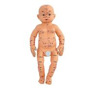 Pediatric Massage Practice Model with Acupoints Points Baby Anatomy for Caregiver Education and Home Nursing Baby Care Skill Development