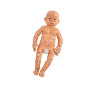 Pediatric Massage Practice Model with Acupoints Points Baby Anatomy for Caregiver Education and Home Nursing PVC Infant Anatomy Teaching