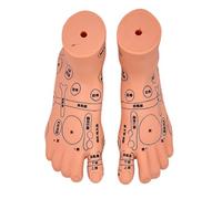 Pediatric Massage Practice Model with Acupoints Points Baby Anatomy for Caregiver Education and Home Nursing PVC Infant Anatomy Teaching