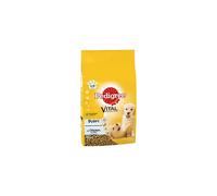 Pedigree Complete Dry Puppy Dog Food Dry - Complete dry food for junior dogs from 2 to 12 month, Chicken & Rice - 10 kg (Pack of 1)