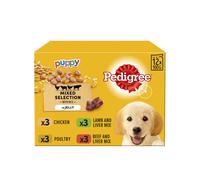 Pedigree Dog Food in Jelly Vital protection100% complete nutrition12pk