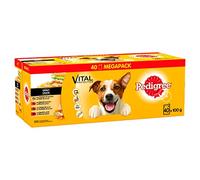 Pedigree Dog Food Pouches Mixed Selection in Gravy, 100 g (Pack of 40)
