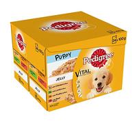 Pedigree Junior, Wet Food for Young Dogs and Puppies, Mixed in Jelly, 24 x 100 g