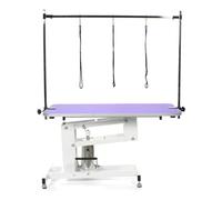 Pedigroom Hydraulic Dog Grooming Table Purple Professional Heavy Duty with H Bar