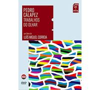 Pedro Calapez: Works of the Gaze ( Pedro Calapez: Trabalhos do Olhar )