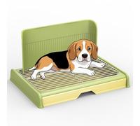 Pee Pad Holder for Puppy Dog,23.62"X18.5" X 2.76" Indoor Potty Tray with Pee Wall,Bathroom Dog Litter Box, Pet Toilet (Green)