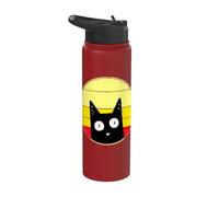 P Boo Kitten Crazy Cat Retro Sunset Distressed Funny Stainless Steel Insulated Water Bottle