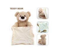 Peek-A-Boo Talking Plush Bear
