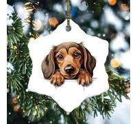 Peeking Dachshund Christmas Ornaments Gift for Dog Mom Hexagons Hanging Ornaments Ceramic Double Sided Decorative 3D Art Portrait Pet Dogs Souvenir for Festive Holidays Home Decor