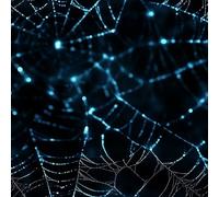 Peel and Stick Wallpaper Spider Web 44x300 cm Dreamy Blue Self Adhesive Contact Paper Easy Peel Off Stick on Wallpaper Renter Friendly Non-Woven Canvas Wall Paper for Bedroom Bathroom