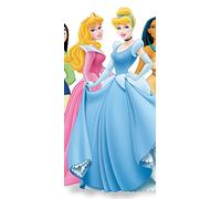 PeelitStickit 60 Width x 130 cm Height Disney Princess 2" Vinyl Wall Mural