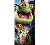 PeelitStickit 60 Width x 130 cm Height How to Train Your Dragon 2 Dragons copy Vinyl Wall Mural
