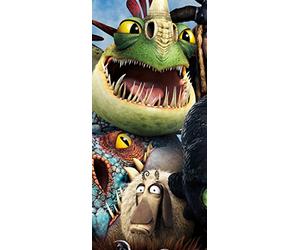 PeelitStickit 60 Width x 130 cm Height How to Train Your Dragon 2 Dragons copy Vinyl Wall Mural