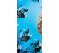 PeelitStickit 60 Width x 130 cm Height Ice Age The Meltdown Vinyl Wall Mural