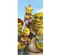 PeelitStickit 60 Width x 130 cm Height Shrek And Fiona's Babies Vinyl Wall Mural
