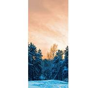 PeelitStickit, Beautiful Landscapes Wall Murals, ID-142, vinyl