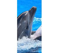 PeelitStickit Dolphin Underwater, Undersea Wall Murals ID-007, vinyl