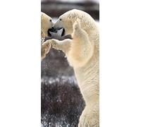 PeelitStickit Two White Polar Bear, Animal Wall Murals ID-019, vinyl