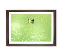 Peeping Green Frog Framed Print | A2 Walnut Framed Wall Art | Ready to Hang | Modern Animal Picture | Living Room Bedroom Lounge Office
