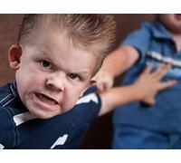 Peer Conflicts and Social Development