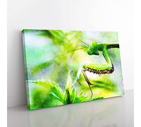 Peering Praying Mantis Canvas Wall Art Print 30x20 Inch