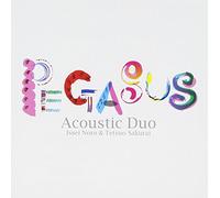 Pegasus - Acoustic Duo