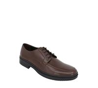 Wide Fit Leather Derby Shoes - Classic Lace-Up Smart Shoes - Pegasus Brown 12