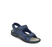 Pegasus Men's Wide Fit Touch Fasten Sandal in Navy | Size: 11 Pegasus Navy 11