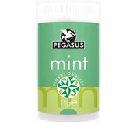 Pegasus Mint 15g (Pack of 1), Dried Mint Leaves for Cooking, Teas, Garnishing, Salads, Sauces, Desserts, Herbs Seasoning, Aromatic Natural Flavour, Premium Quality, Fresh Herbal Culinary Spice
